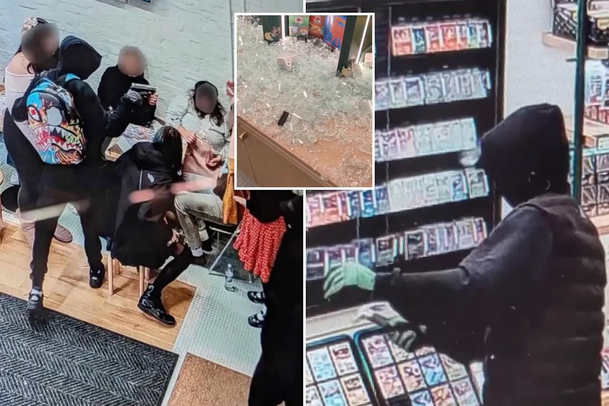 Community unites after theft of over $100,000 worth of rare Pokémon cards in New York.