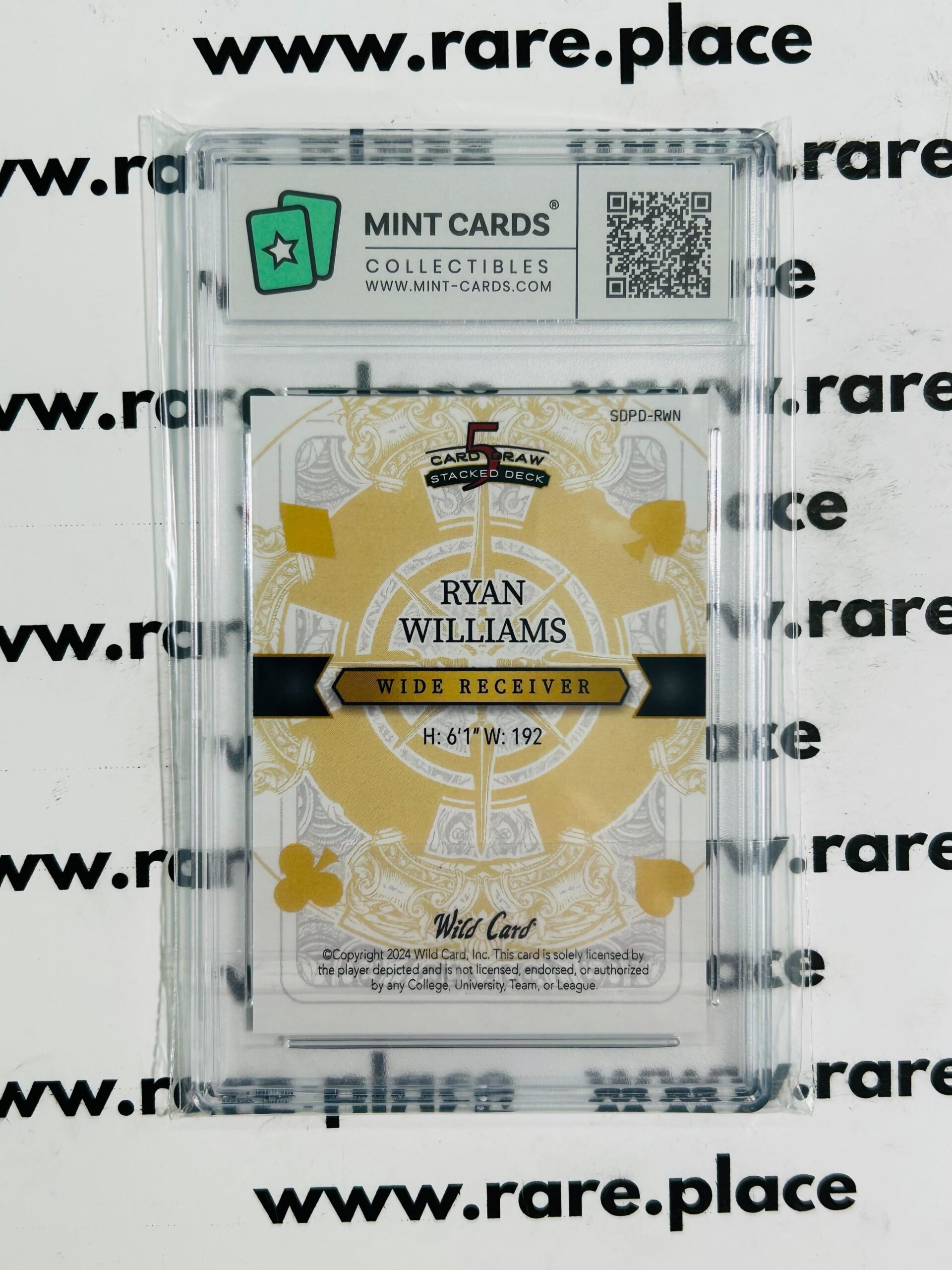 2024 Wild Card Ryan Williams 1/1 #SDPD-RWN GEM MT 10 - Image 2