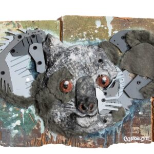 Young Koala Edition