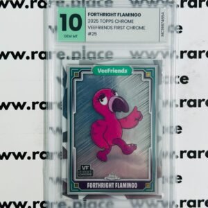 2025 Topps Chrome Forthright Flamingo Veefriends First Chrome #25 GEM MINT 10